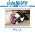 Moose's Dogster Page